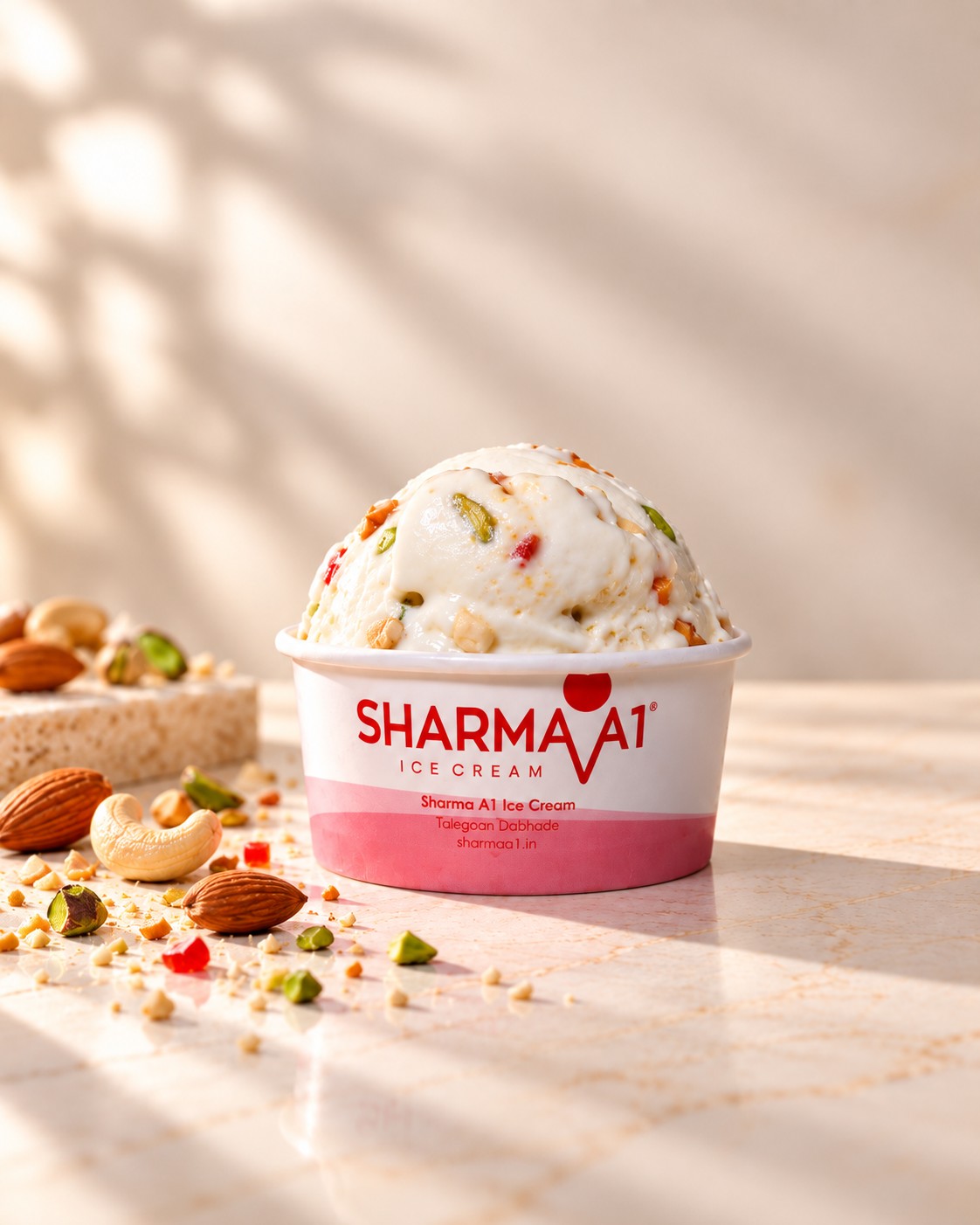 American Dry Fruit Ice Cream